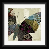 Butterfly Brocade IV Framed Print