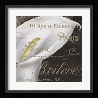 Fleurs Blanc I Framed Print