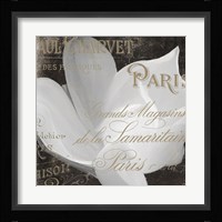 Fleurs Blanc II Framed Print