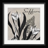 Flowering Herbs I Framed Print