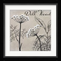Flowering Herbs III Framed Print