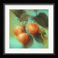 Glowing Fruits II Framed Print