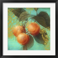 Glowing Fruits II Framed Print