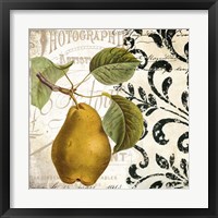 Les Fruits Jardin I Fine Art Print