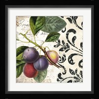 Les Fruits Jardin III Framed Print