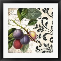 Les Fruits Jardin III Framed Print