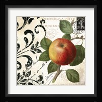 Les Fruits Jardin IV Framed Print
