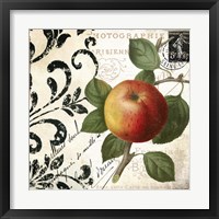 Les Fruits Jardin IV Framed Print