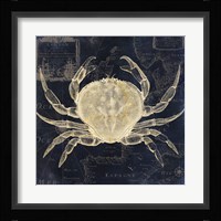 Maritime Blues III Framed Print