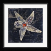 Maritime Blues IV Framed Print