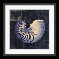 Maritime Blues V Framed Print