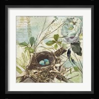 Nesting II Framed Print