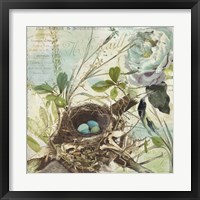 Nesting II Framed Print