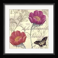 Petals of Paris I Framed Print