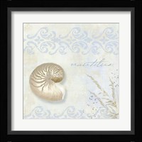 She Sells Seashells I Fine Art Print