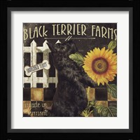 Vermont Farms V Framed Print