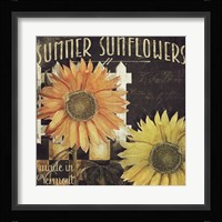 Vermont Farms XI Framed Print