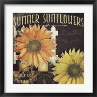 Vermont Farms XI Fine Art Print