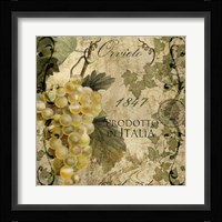 Vino Italiano IV Fine Art Print