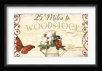 Vermont Summer X Framed Print