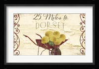 Vermont Summer XI Framed Print