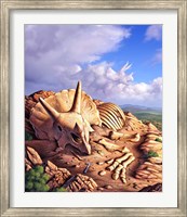 Bones of a Triceratops Fine Art Print