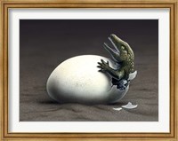 Seymouria Hatching Fine Art Print