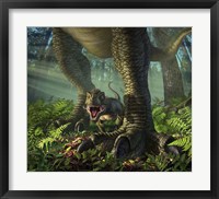 Baby Tyrannosaurus Rex Fine Art Print