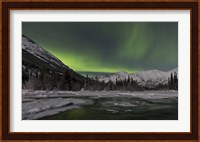 Aurora Borealis over Annie Lake, Yukon, Canada Fine Art Print