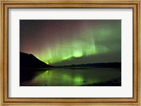 Aurora Borealis over Kluane Lake Fine Art Print