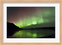Aurora Borealis over Kluane Lake Fine Art Print