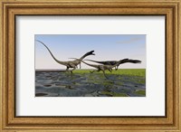 Group of Coelophysis Dinosaurs Fine Art Print
