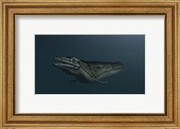 Mosasaur Swimming Fine Art Print