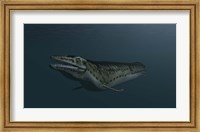 Mosasaur Swimming Fine Art Print