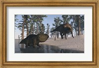 Udanoceratops and Shuangmiaosaurus Fine Art Print