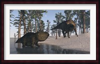Udanoceratops and Shuangmiaosaurus Fine Art Print