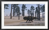 Udanoceratops Walking Along Water Framed Print