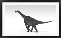 Brachiosaurus Dinosaur Framed Print