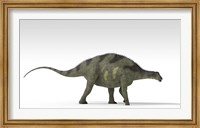 Brachytrachelopan Dinosaur Fine Art Print
