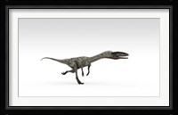 Coelophysis Dinosaur Framed Print