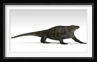 Cotylorhynchus Framed Print