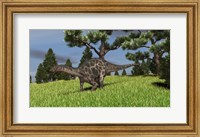 Dicraeosaurus Walking in a Field Fine Art Print