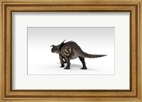 Einiosaurus Dinosaur Fine Art Print