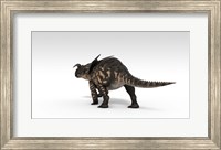Einiosaurus Dinosaur Fine Art Print