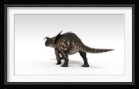 Einiosaurus Dinosaur Fine Art Print