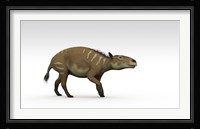 Eurohippus Fine Art Print
