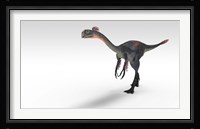 Gigantoraptor Dinosaur Framed Print