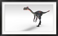 Gigantoraptor Dinosaur Framed Print