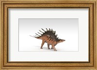 Kentrosaurus Dinosaur Fine Art Print