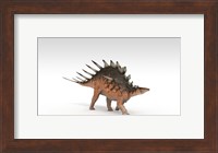 Kentrosaurus Dinosaur Fine Art Print